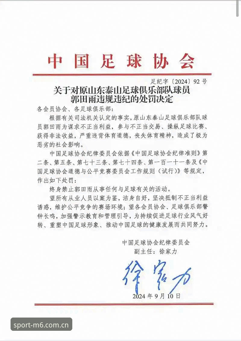 揭秘中国足协第三批禁足名单：65人受罚背后的行业震荡与深层真相